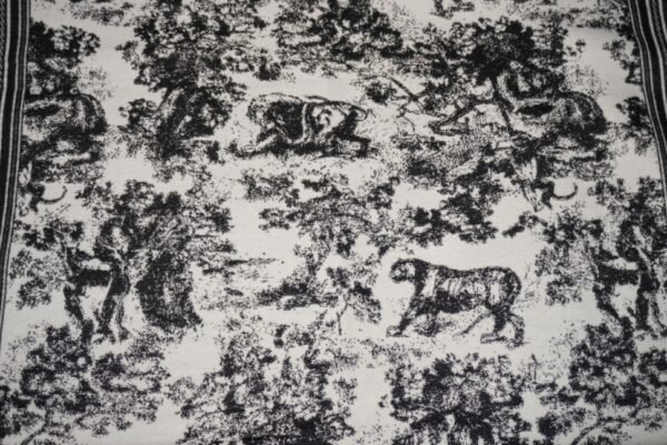 DSC00064 ECHARPE CHALE