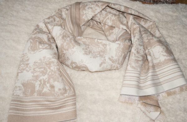 DSC00066 - Copie ECHARPE CHALE